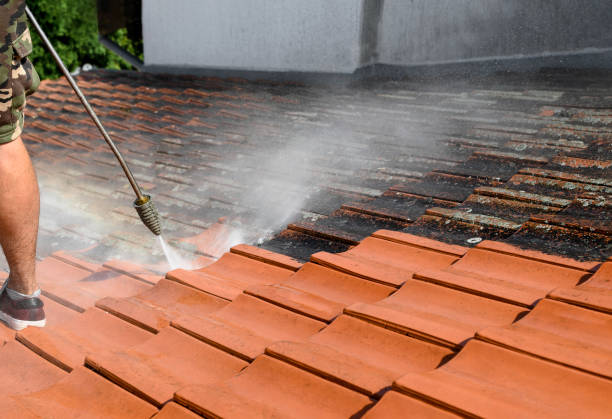 Best Garage Pressure Washing  in Council Bluffs, IA