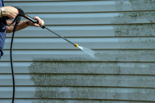 Best Roof Pressure Washing  in Council Bluffs, IA